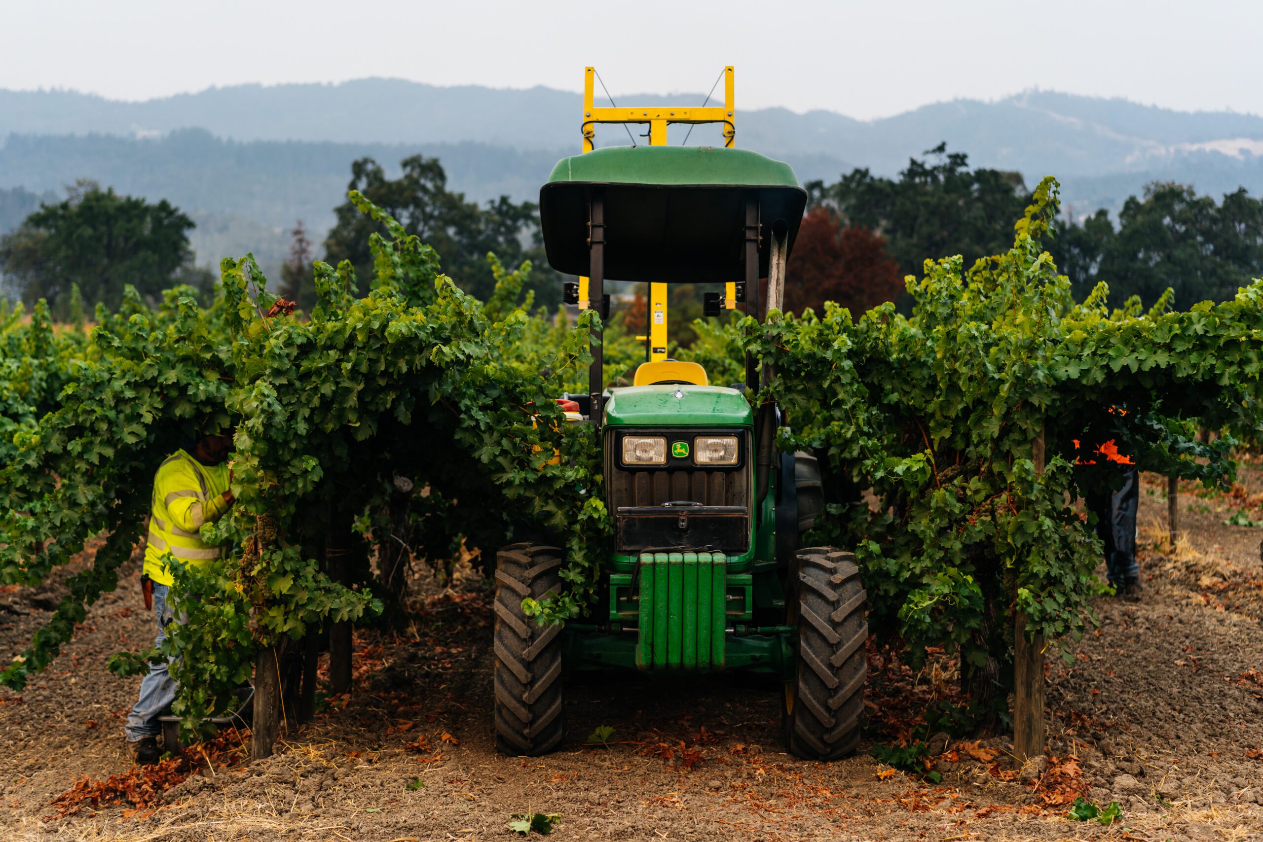 2022 Cabernet Franc Chavez Leeds Vineyard | Frog's Leap Winery