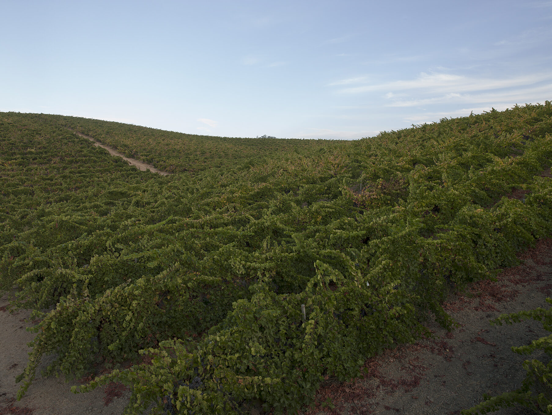 Nia Ladies And Gentlemen Flipkart Today Answer Flipkart Video