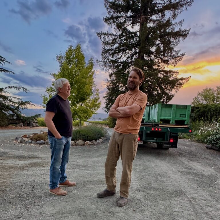 John and Rory williams picking up grapes